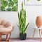 Green Sansevieria Artificial Plant Tabletop Floor Plant Indoor Outdoor Decor